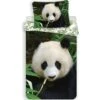 Animal Pictures Panda - Dekbedovertrek - Eenpersoons - 140 X 200 Cm - Multi -Kwaliteit Geselecteerde Dekbedovertrekkenwinkel 1248980566
