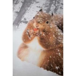 Papillon Milou Dekbedovertrek - 140x200/220 Cm - Multikleur -Kwaliteit Geselecteerde Dekbedovertrekkenwinkel 1387452107 0102